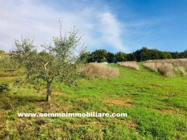 Terreno in vendita a Casole d'Elsa SI