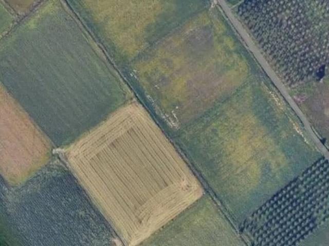 Terreno in vendita a Casorate Primo PV