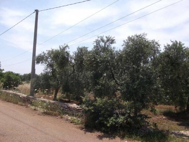 Terreno in vendita a Cassano delle Murge BA
