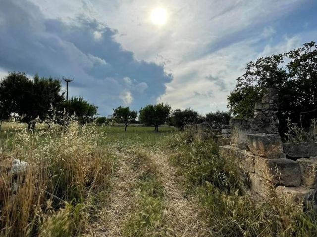 Terreno in vendita a Cassano delle Murge BA