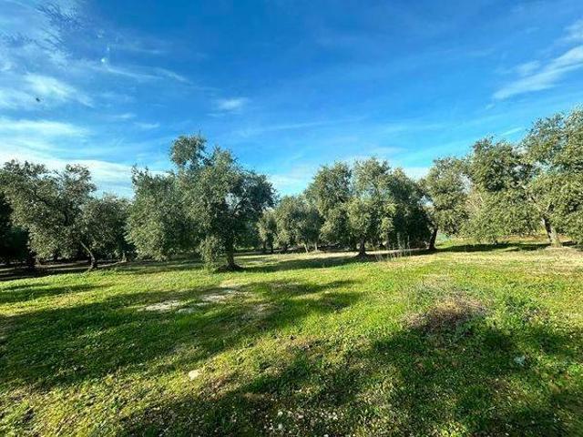 Terreno in vendita a Cassano delle Murge BA