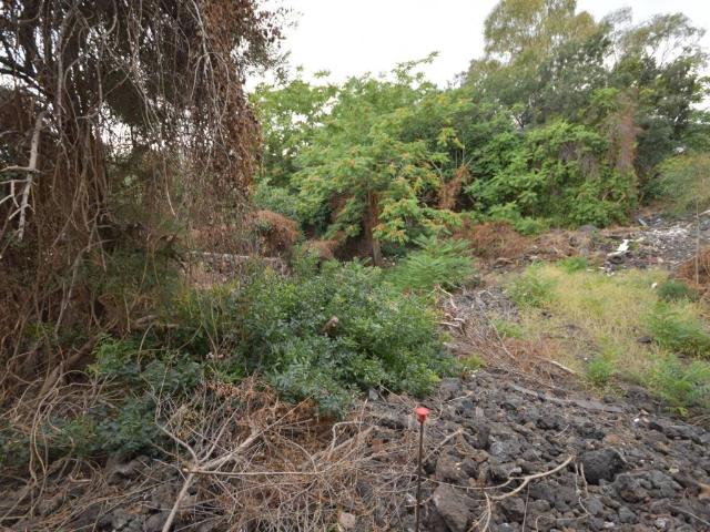 Terreno in vendita a Catania CT