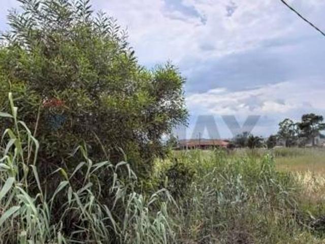 Terreno in vendita a Catania, Vaccarizzo