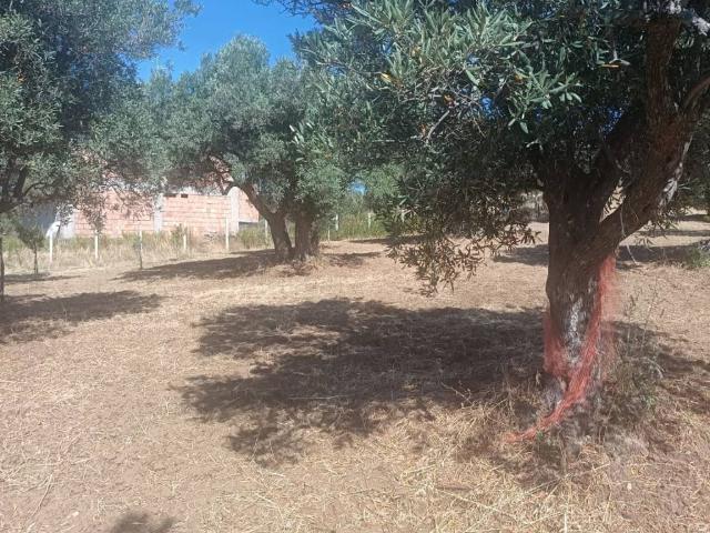 Terreno in vendita a Catanzaro CZ