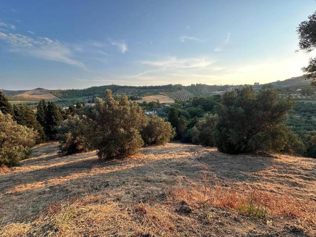 Terreno in vendita a Catanzaro CZ