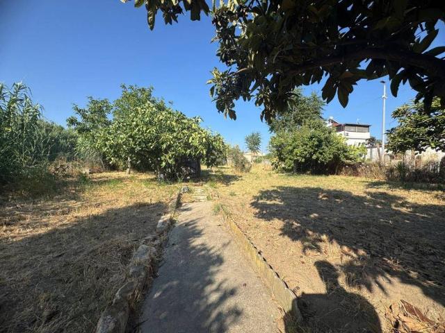 Terreno in vendita a Catanzaro CZ