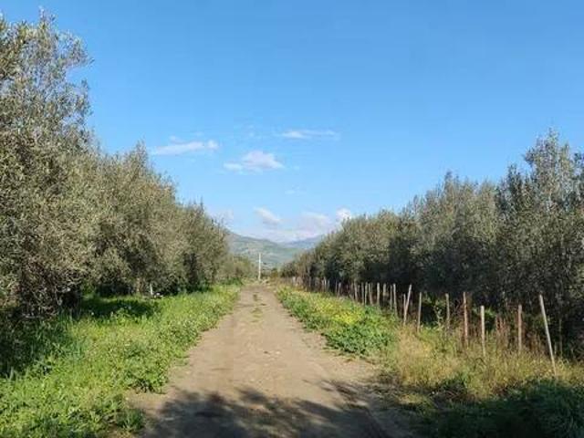 Terreno in vendita a Centuripe EN