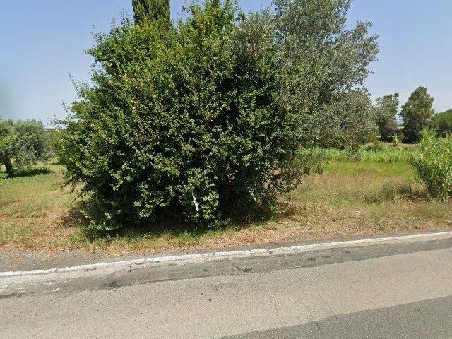 Terreno in vendita a Cecina LI