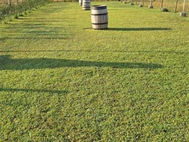 Terreno in vendita a Cecina LI