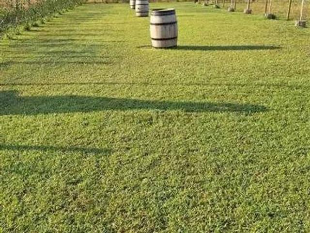 Terreno in vendita a Cecina LI