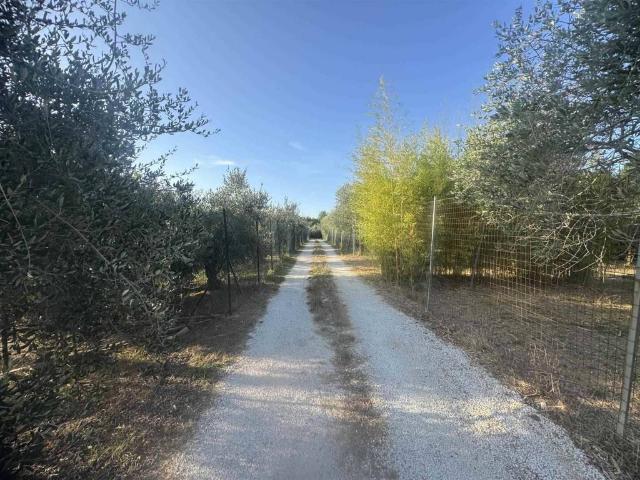 Terreno in vendita a Cecina LI