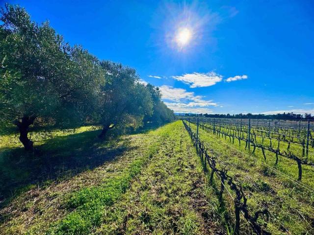 Terreno in vendita a Cecina LI