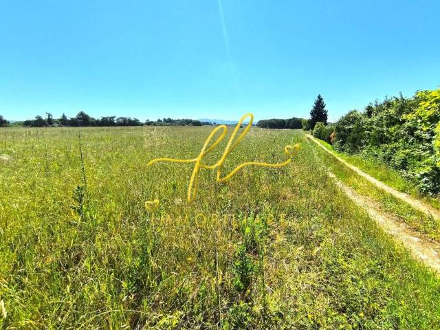 Terreno in vendita a Cecina LI