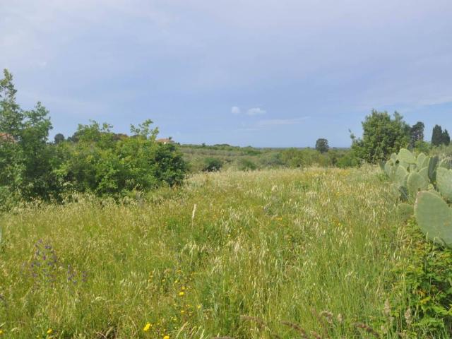 Terreno in vendita a Cecina LI