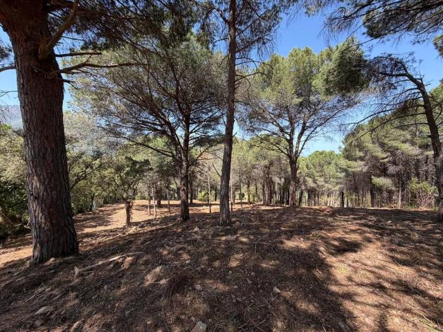 Terreno in vendita a Cefalù PA