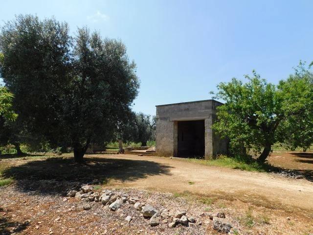 Terreno in vendita a Ceglie Messapica BR