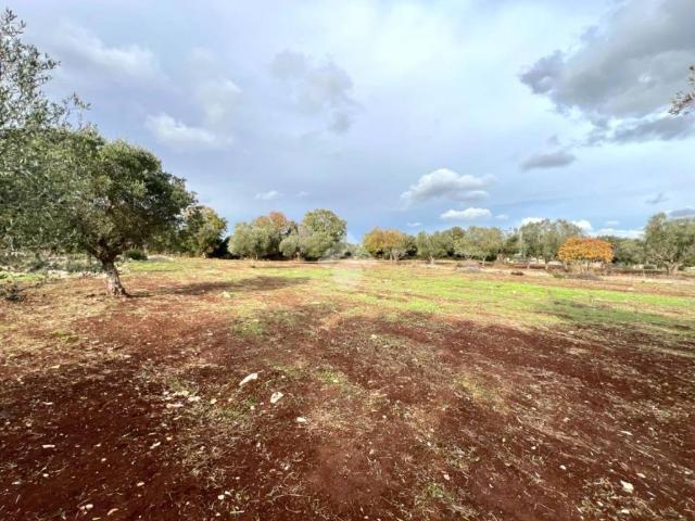 Terreno in vendita a Ceglie Messapica BR
