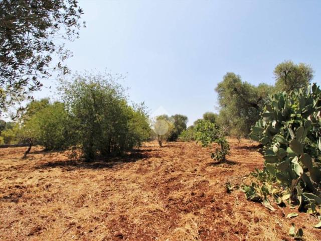 Terreno in vendita a Ceglie Messapica BR