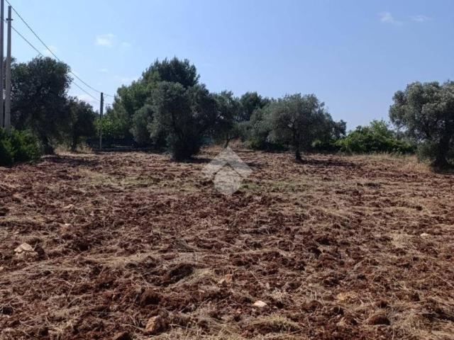 Terreno in vendita a Ceglie Messapica BR