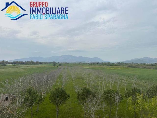 Terreno in vendita a Cellole CE
