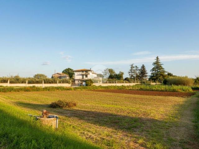 Terreno in vendita a Cepagatti PE