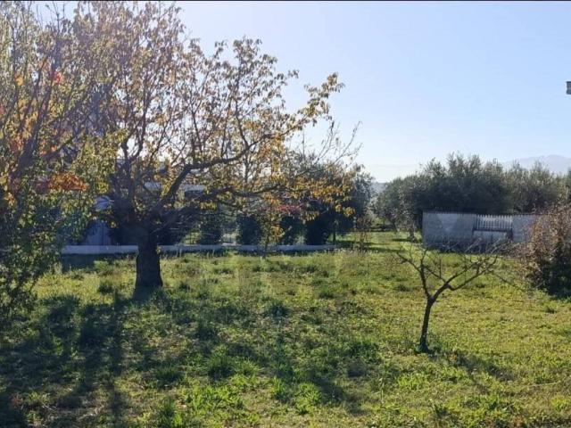 Terreno in vendita a Cepagatti PE