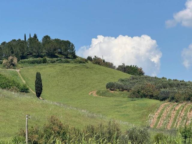 Terreno in vendita a Certaldo FI