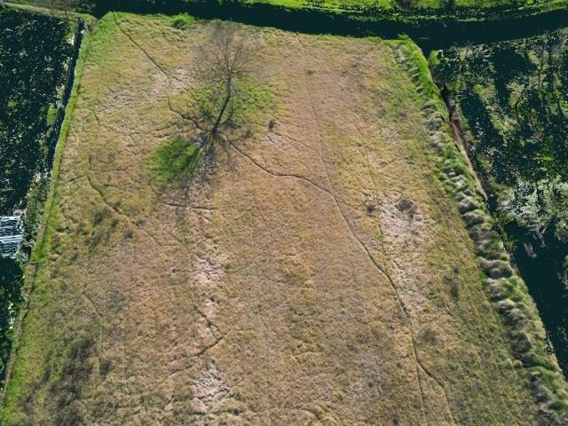 Terreno in vendita a Certaldo FI