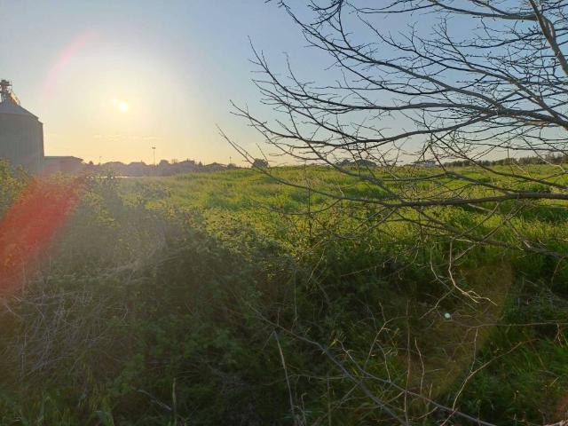 Terreno in vendita a Cerveteri RM