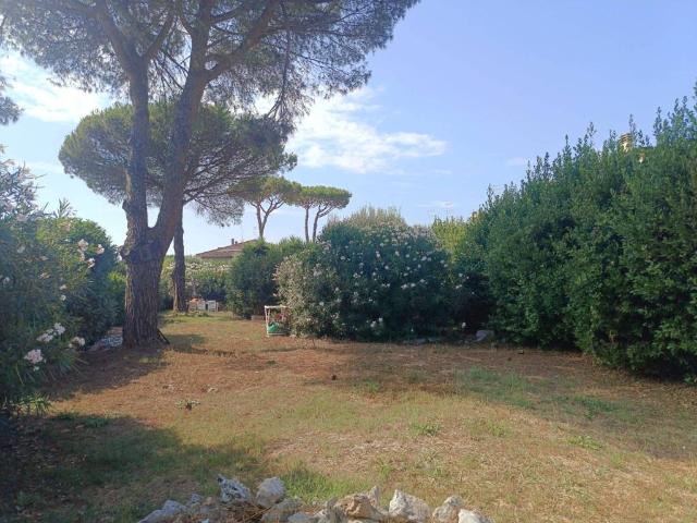 Terreno in vendita a Cerveteri RM