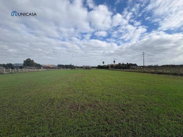 Terreno in vendita a Cerveteri RM