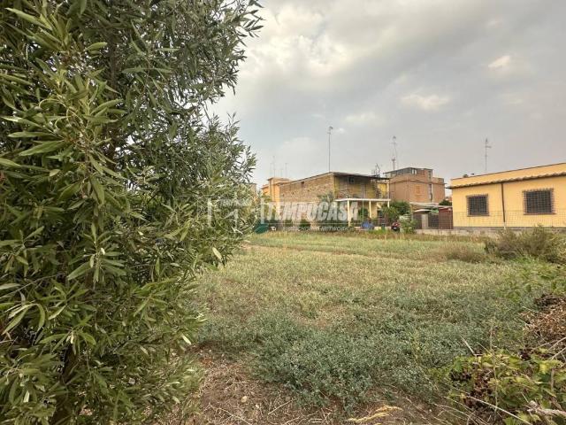 Terreno in vendita a Cerveteri RM