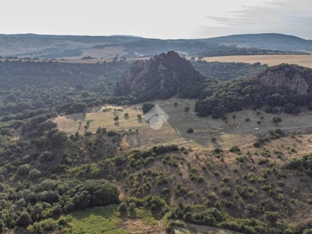 Terreno in vendita a Cerveteri RM