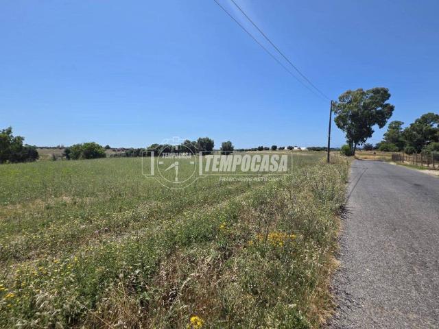 Terreno in vendita a Cerveteri RM