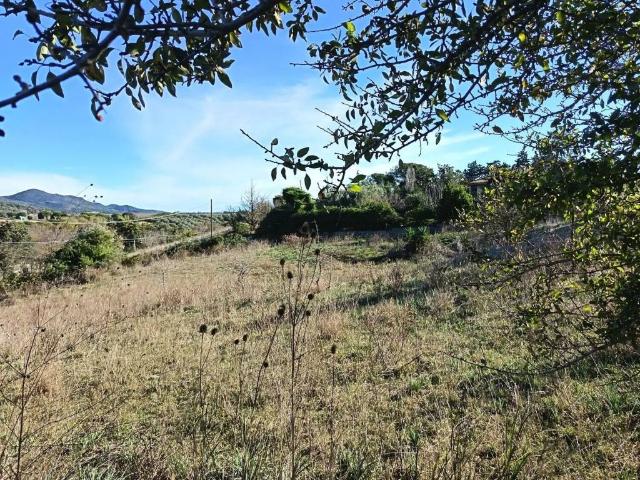 Terreno in vendita a Cerveteri RM
