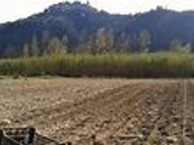 Terreno in vendita a Cerveteri RM