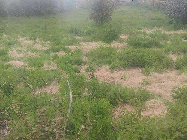 Terreno in vendita a Cervinara AV
