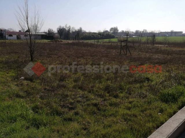 Terreno in vendita a Cerea VR