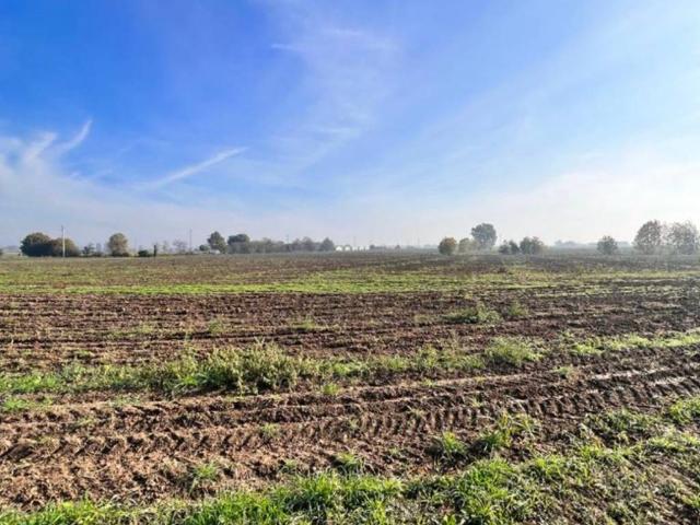 Terreno in vendita a Ceresara MN