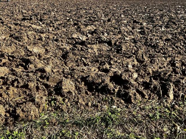 Terreno in vendita a Ceresara MN