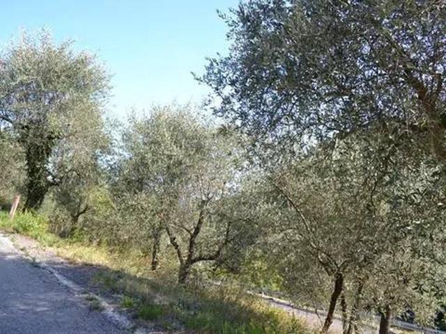 Terreno in vendita a Ceriana IM
