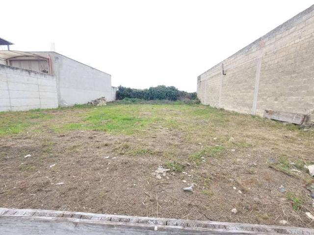 Terreno in vendita a Cerignola FG