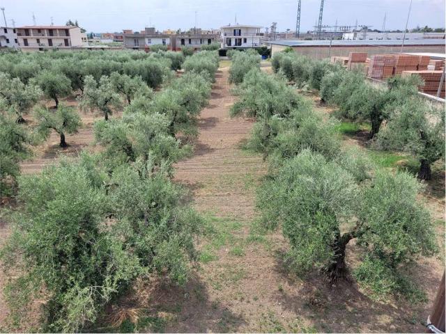 Terreno in vendita a Cerignola FG