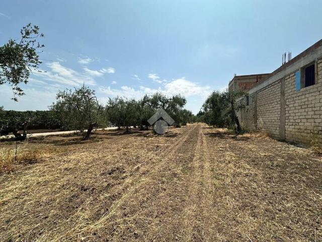Terreno in vendita a Cerignola FG