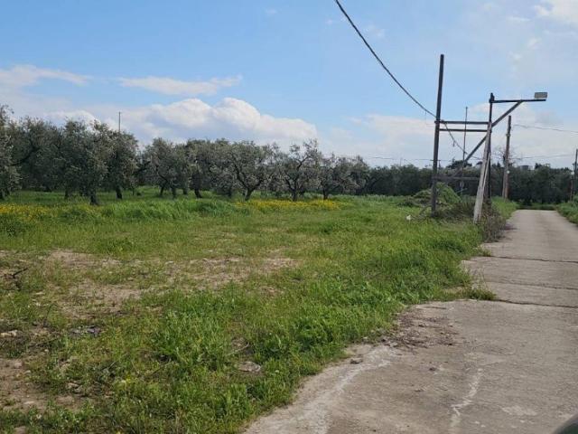 Terreno in vendita a Cerignola FG