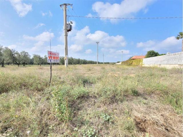 Terreno in vendita a Cerignola FG