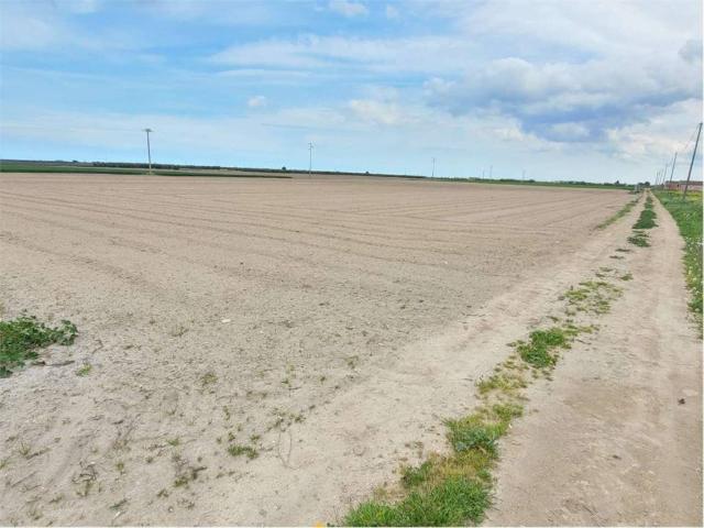 Terreno in vendita a Cerignola FG
