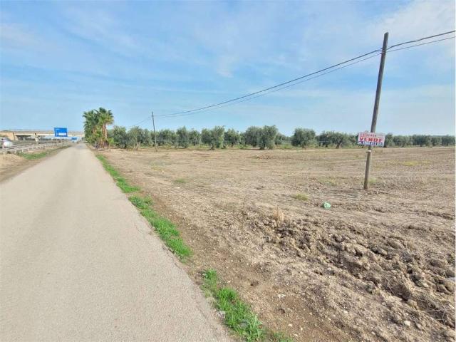 Terreno in vendita a Cerignola FG
