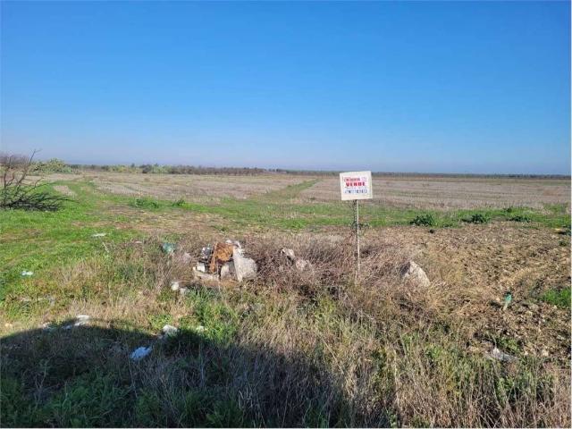 Terreno in vendita a Cerignola FG
