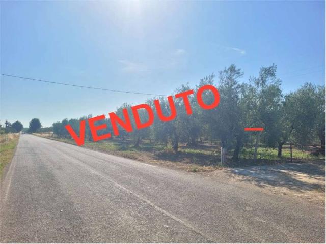 Terreno in vendita a Cerignola FG